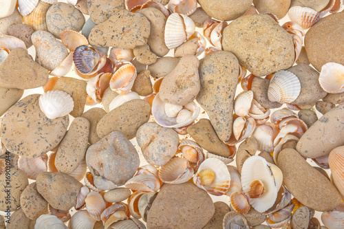 Sea pebbles and seashells background