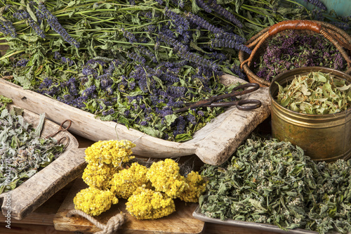 Various dried medical herbs: mint, tilia flowers, anise hyssop, helichrysum arenarium.