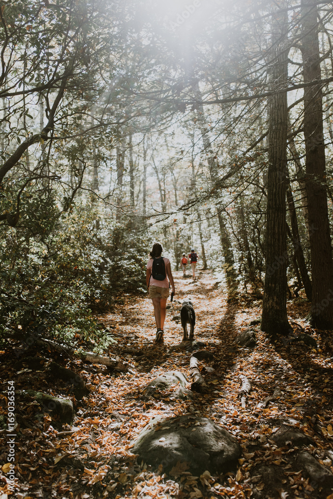 teen walking her dog in the forest teen walking her dog in the forest