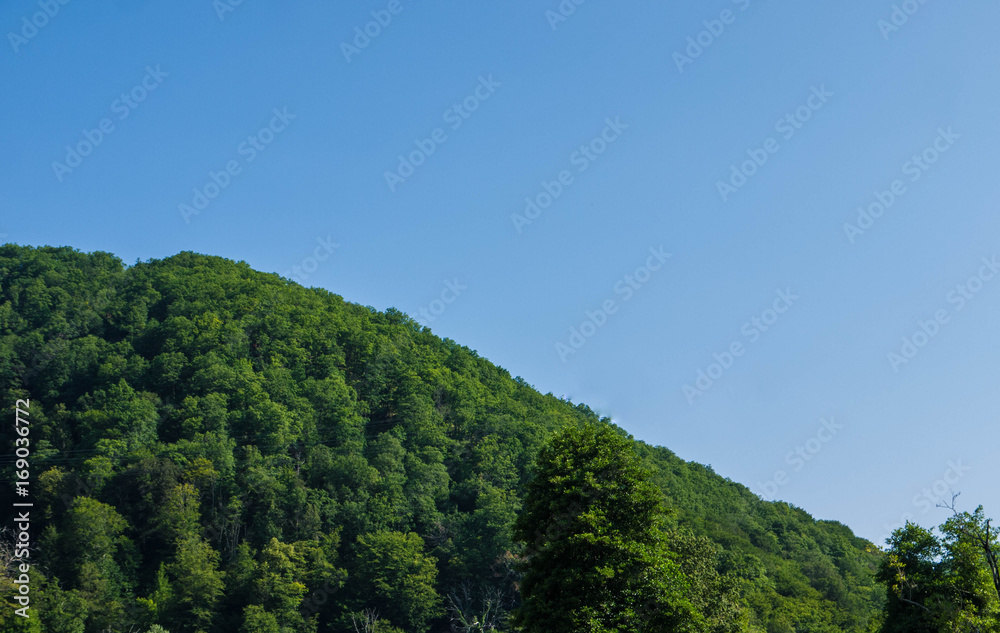 the tops of the mountains close up