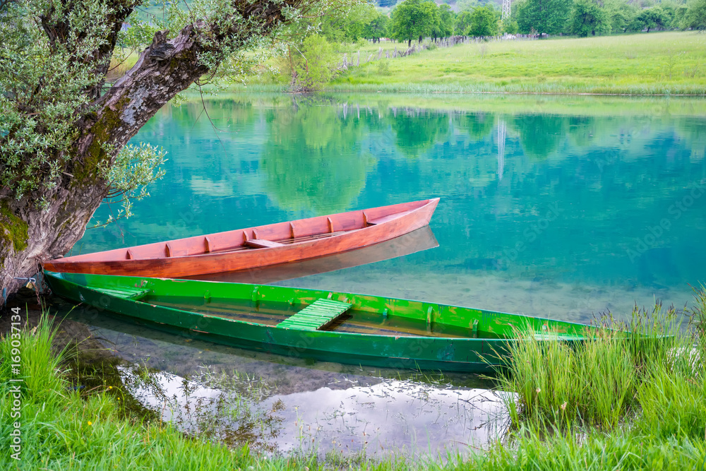 Two wooden boats are chained to the trunk of a tree on the shore.