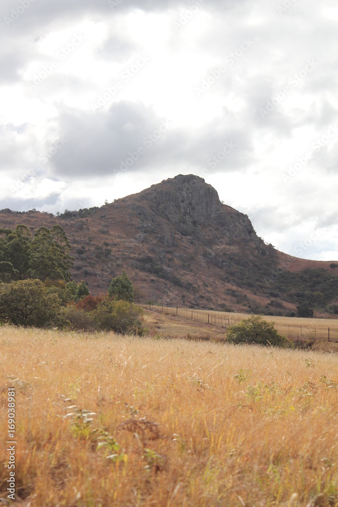 Fototapeta premium Réserve naturelle de Milwane, Swaziland
