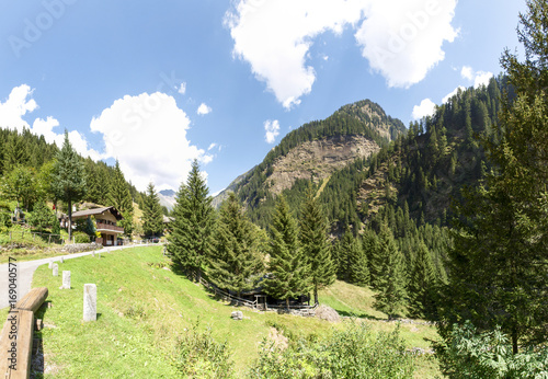 the wooded and steep valley photo