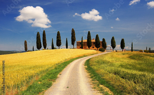 Beauty landscape in Tuscany  Italy