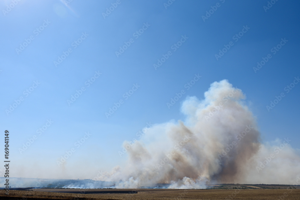 Big fire in the forest and in the field, thick smoke high in the sky
