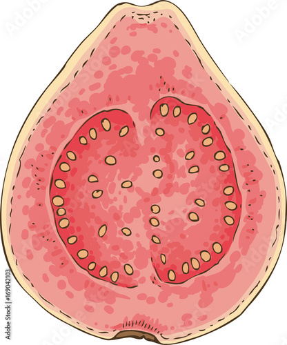 Ripe Guava in Cross Section