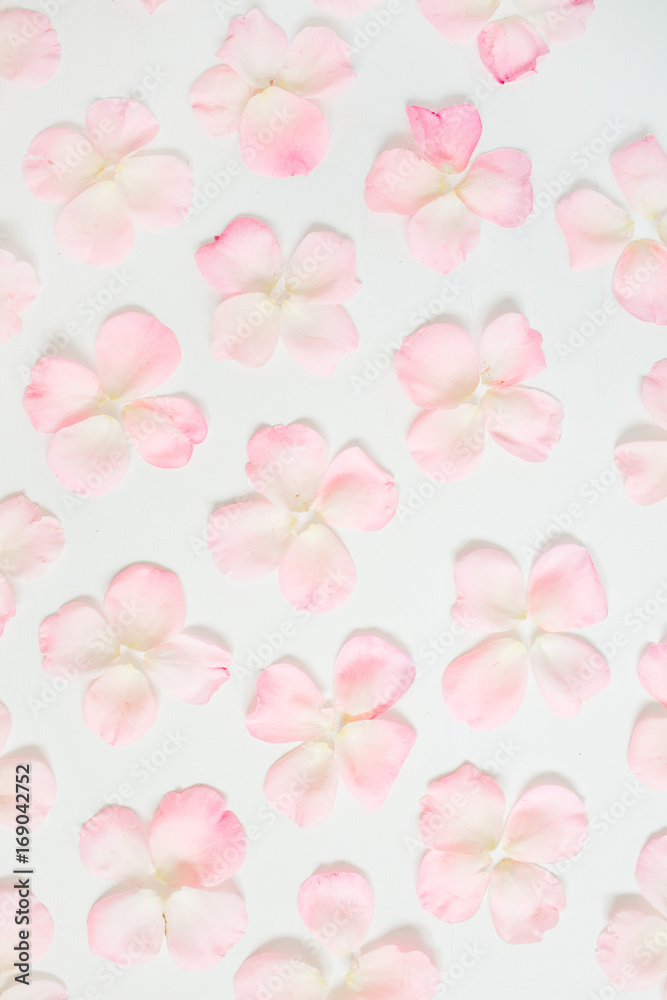 Pink rose petals pattern on white background. Flat lay, top view. Valentine's background. Pattern of flowers.