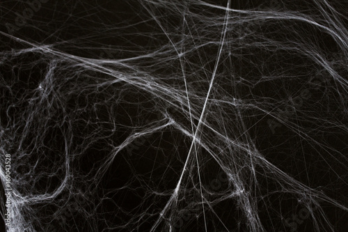halloween decoration of spider web over black photo
