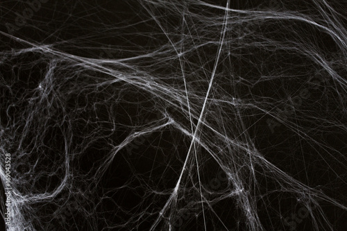 Canvastavla halloween decoration of spider web over black