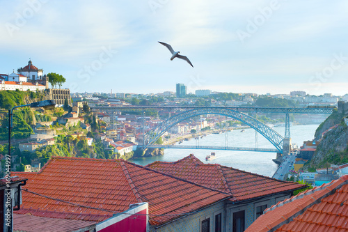 Seagull flying over Porto, ...