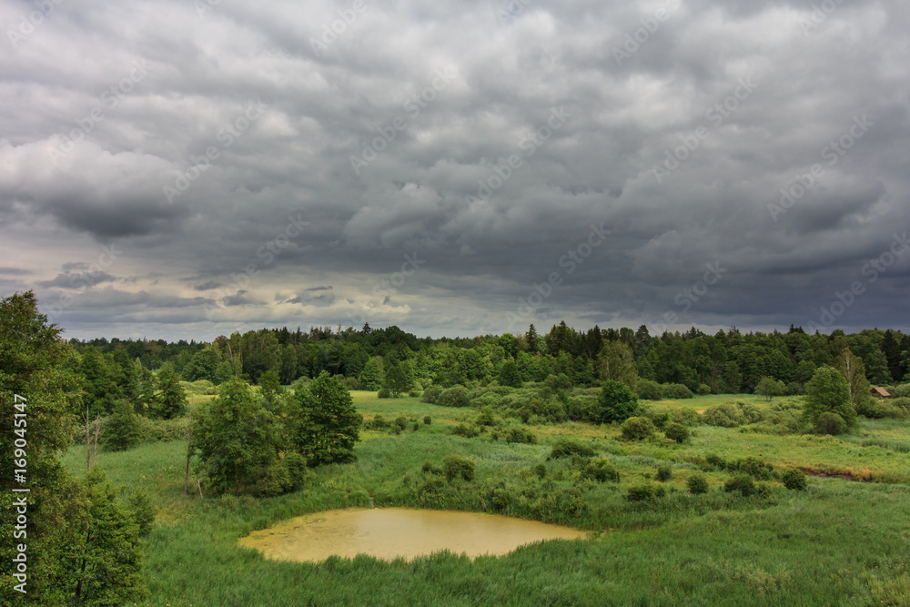 Obraz premium Dolina rzeki Narewki, Białowieski Park Narodowy
