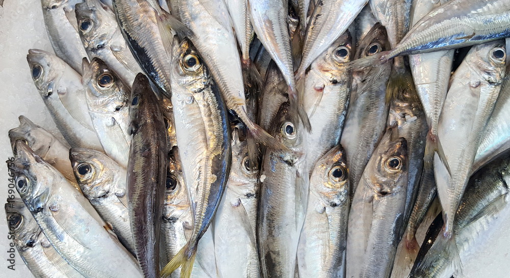 Obraz premium Fresh anchovies