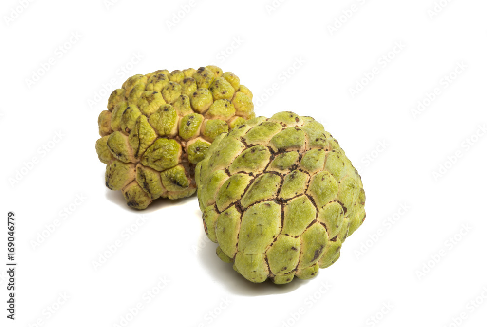 Sugar Apple (custard apple Annona) Sugar Apple (custard apple Annona)