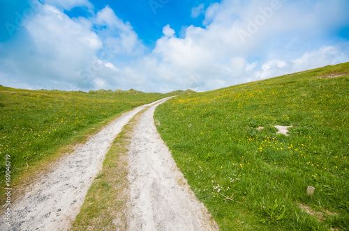 Wild countryside single track road in a grass field with blue sky and yellow flowers. Outer Hebrides  Scotland  UK.