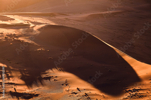 sand dunes