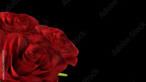 rotating red rose alpha channel included - 3D render