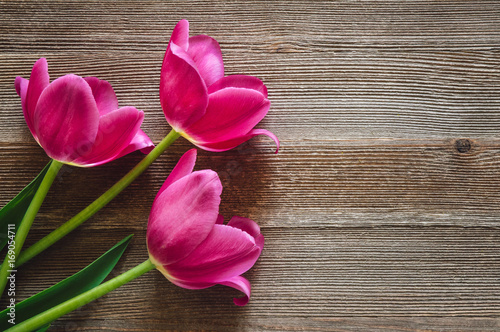 Fototapeta Naklejka Na Ścianę i Meble -  Three Pink Tulips on Rustic Wooden Table