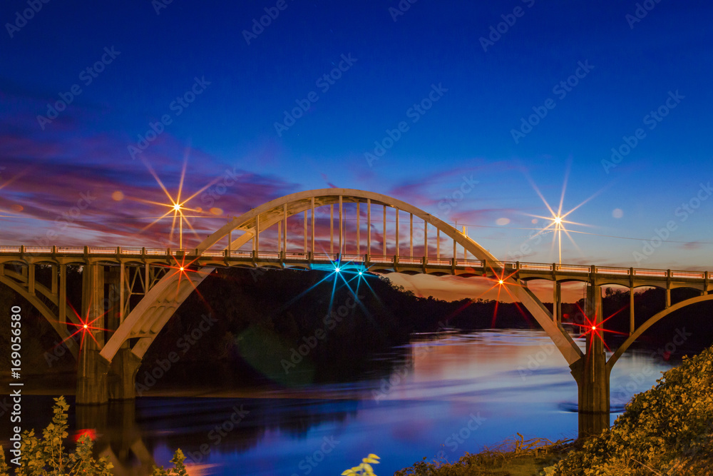 Fototapeta premium selma