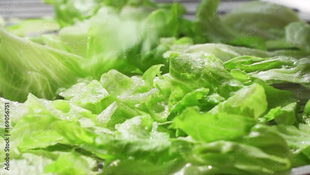Slow motion of freshly washed salad leaves falling onto a drainer. Slow motion of freshly washed salad leaves falling onto a drainer.