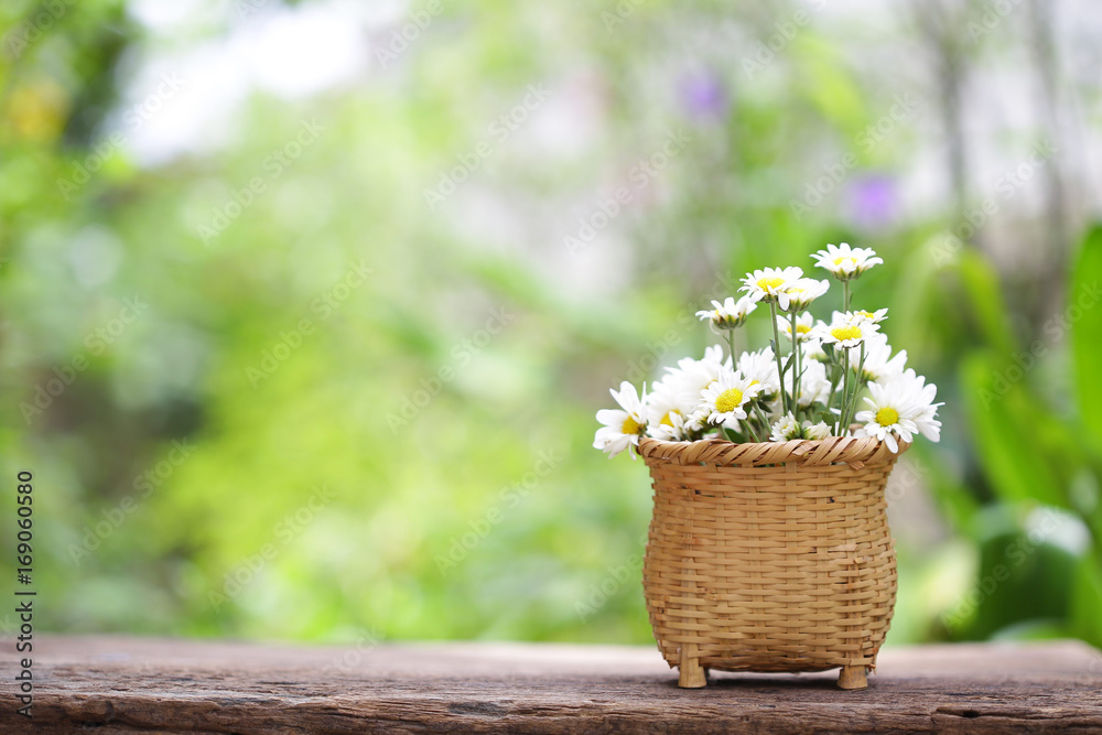 White flower in wicker baskets White flower in wicker baskets