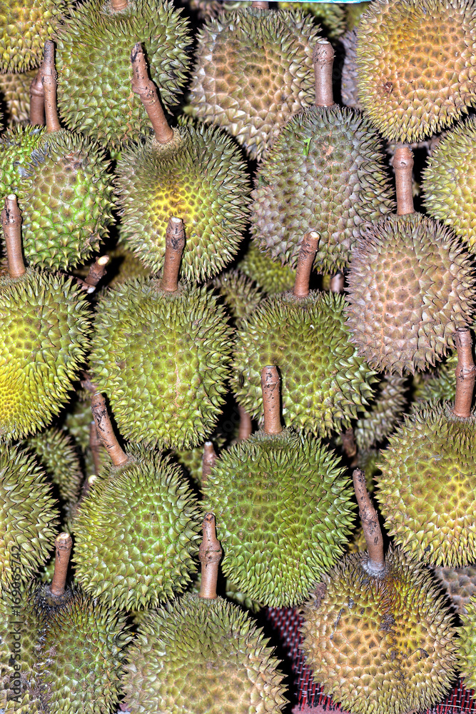 Background of Durian the King of fruits. Background of Durian the King of fruits.