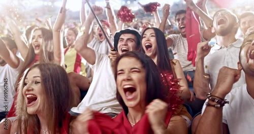 Fans cheer at the stadium
