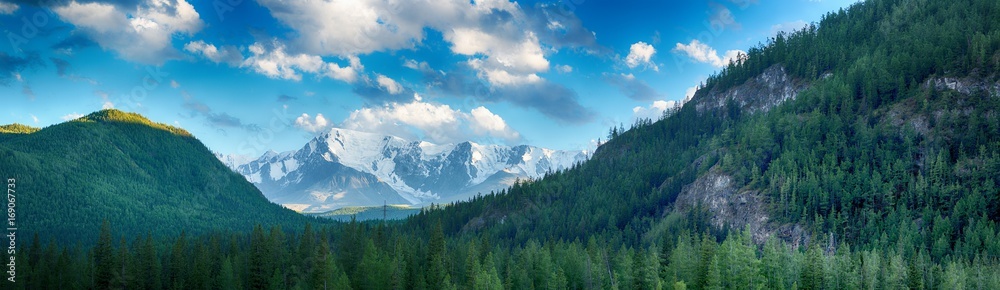 Fototapeta premium picturesque landscape of pine forest stretching to foot of great snow-covered mountains at sunny day 