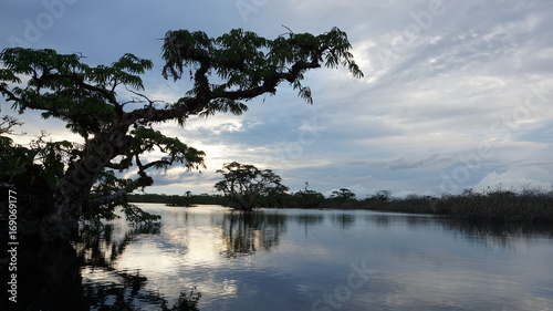 Couché de soleil en Amazonie