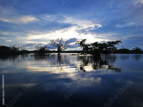 Couché de soleil en Amazonie