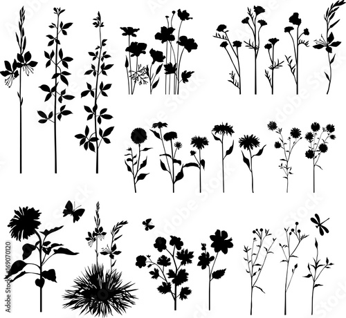 Summer plant set