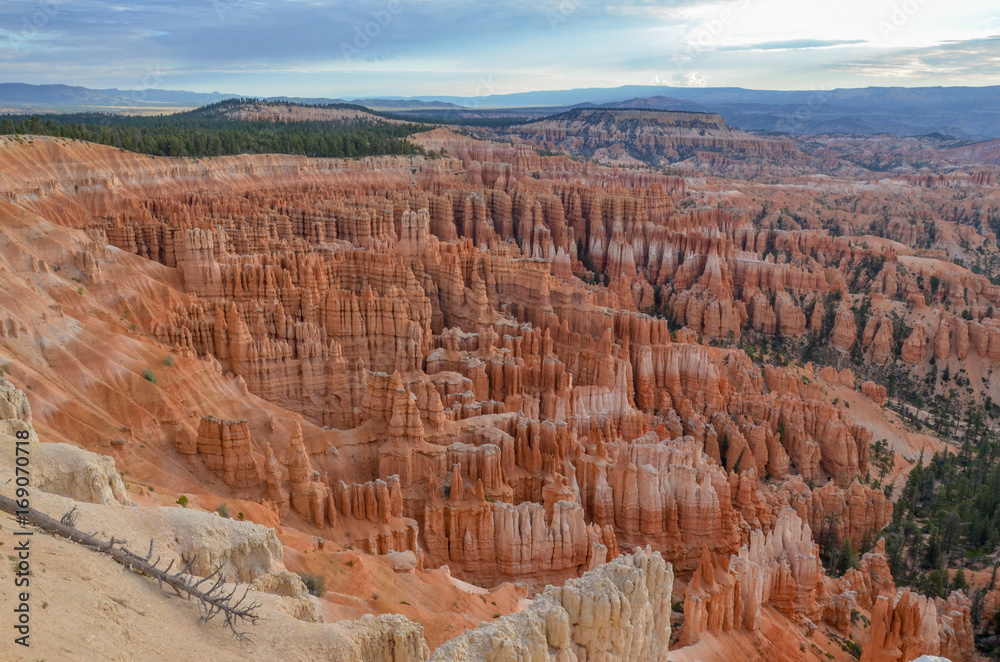 panoramic view of Bryce Canyon in the morning from Inspiration Point
Bryce Canyon National Park, Utah, United States panoramic view of Bryce Canyon in the morning from Inspiration Point
Bryce Canyon National Park, Utah, United States