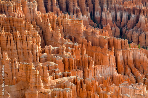 rock hoodoos on the slopes of Bryce Canyon
Upper Inspiration Point, Bryce Canyon National Park, Utah, United States
