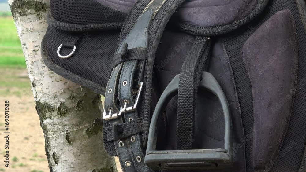 Detail of a horse saddle. Saddle with stirrups.
Detail of a horse saddle. Saddle with stirrups.