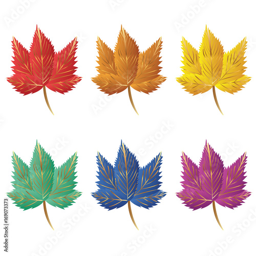 Collection of color autumn leaves. Autumn leaves set. Maple leaves. Collection of color autumn leaves for design, banner, background, ornament, and discount. Gradient autumn leaves.