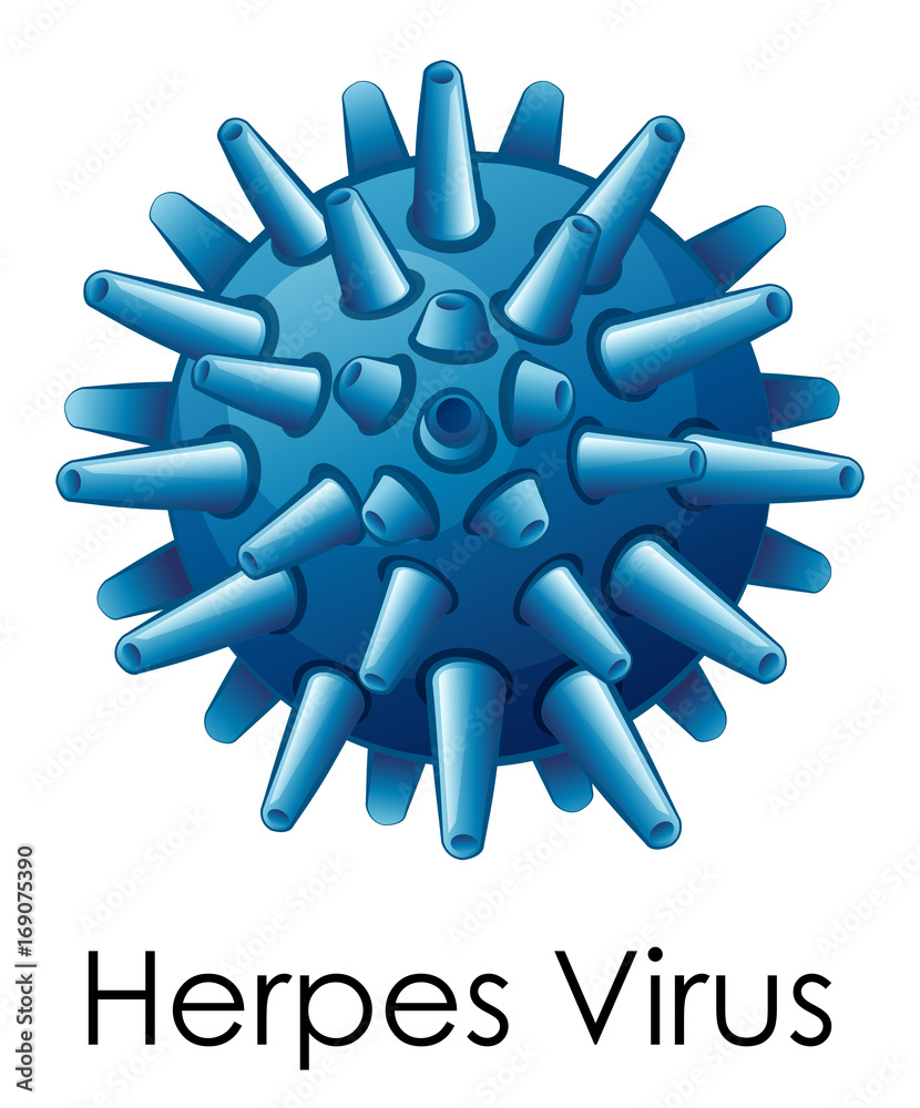 Obraz premium Herpes virus on white background