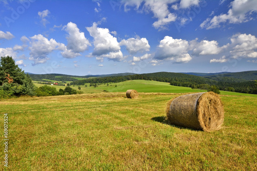 Landscape with hay bales on the grass
