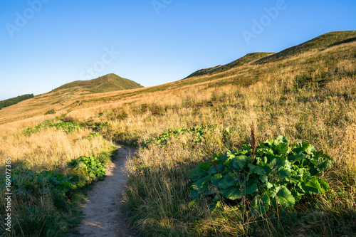 Połonina Caryńska, Bieszczady Polska