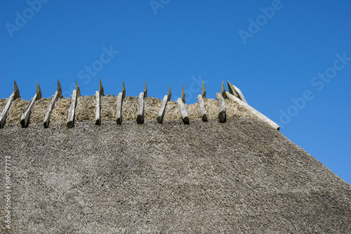 Straw roof of House