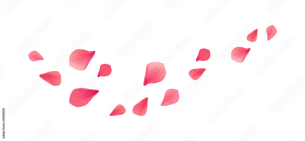 Abstract background with flying red rose petals on a white transparent  background. Vector illustration. EPS 10. Rose petals vector illustration  Stock Vector Image & Art - Alamy