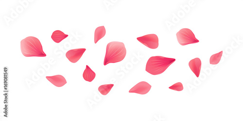 Pink Red flying petals isolated on white background. Sakura Roses petals. Vector