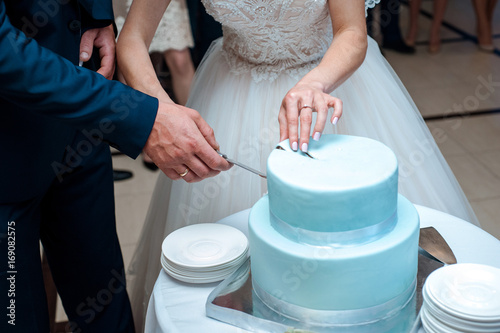 A beautiful blue wedding cake is being cut by the Newlyweds
