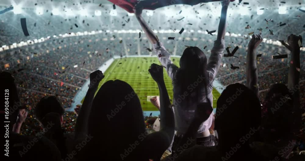Fans cheer at the stadium