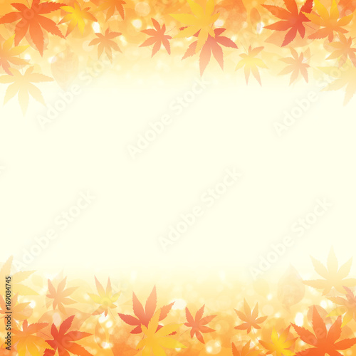 秋のイメージ　輝く紅葉と落ち葉 (16:9)