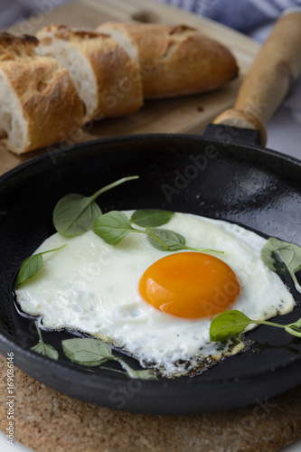 Завтрак: яичница с зеленью
