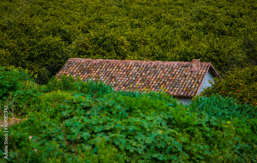 Rural cottage
