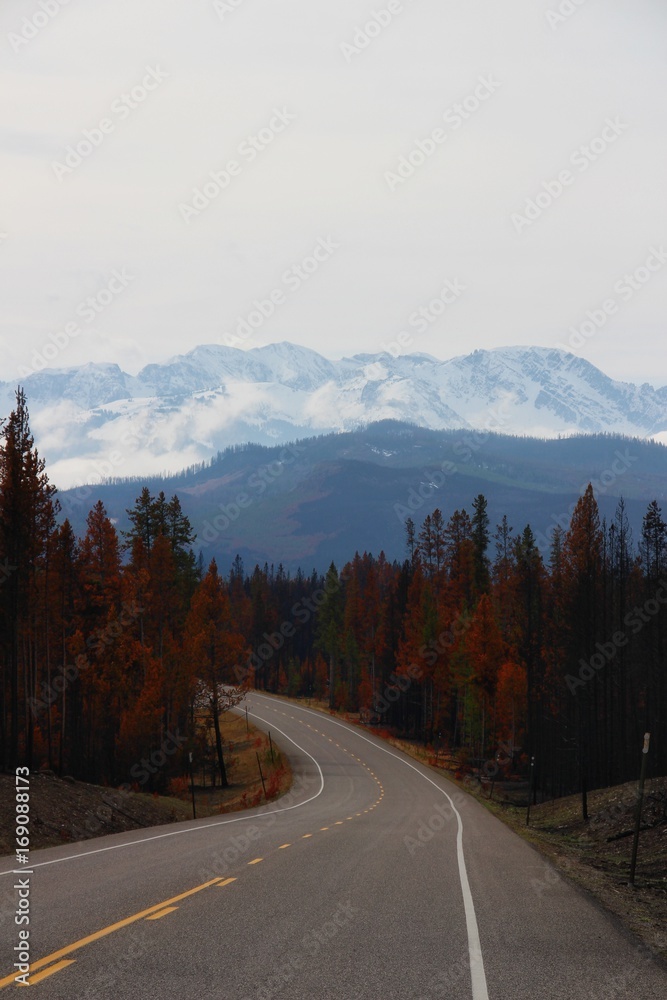 Road to mountain Road to mountain