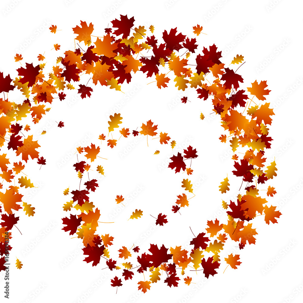 Autumn swirl leaves on white background. Autumnal vector illustration.