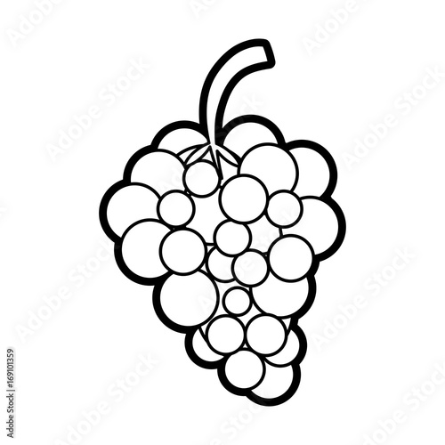 Sweet fruit grapes icon vector illustration design graphic paint 