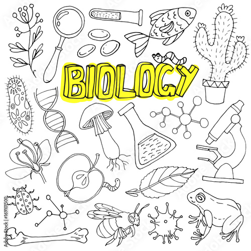 Vector biology science doodles. Back to school illustration.