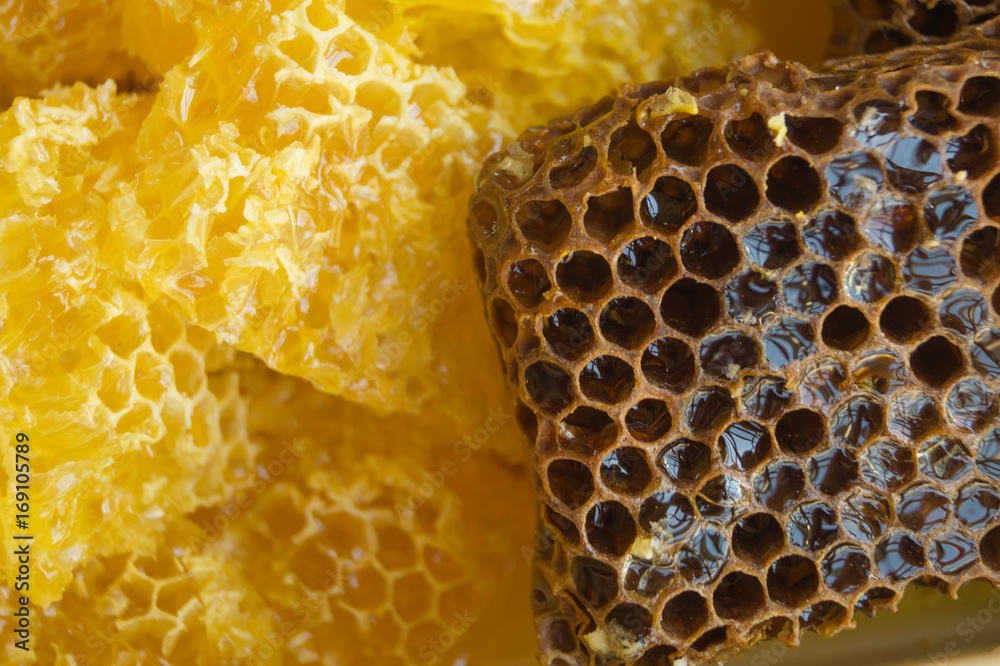 Yellow and brown honeycombs with sweet honey as a background, close up